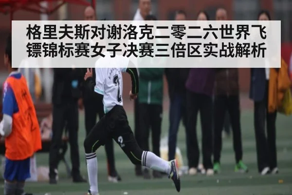 格里夫斯对谢洛克二零二六世界飞镖锦标赛女子决赛三倍区实战解析 - kaiyun